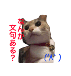 気まぐれハニー（個別スタンプ：5）