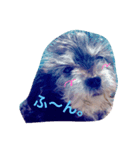 シープー犬  レオの日常（個別スタンプ：3）