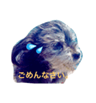 シープー犬  レオの日常（個別スタンプ：4）