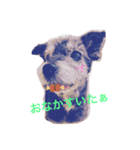 シープー犬  レオの日常（個別スタンプ：6）