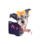 シープー犬  レオの日常（個別スタンプ：7）
