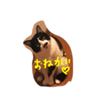 凶暴猫チョビスケ（個別スタンプ：10）
