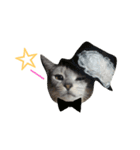 ねこあるある（個別スタンプ：7）
