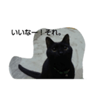my cats<3（個別スタンプ：6）