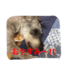 がんばれ！じんくん。。（個別スタンプ：2）