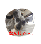 がんばれ！じんくん。。（個別スタンプ：3）
