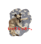 がんばれ！じんくん。。（個別スタンプ：5）