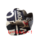 がんばれ！じんくん。。（個別スタンプ：6）