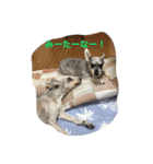がんばれ！じんくん。。（個別スタンプ：11）