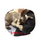 がんばれ！じんくん。。（個別スタンプ：12）