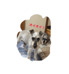がんばれ！じんくん。。（個別スタンプ：16）