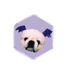 Pekingese's yuuchan（個別スタンプ：22）