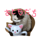 にゃんず姉弟（個別スタンプ：7）