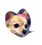 love love dog..（個別スタンプ：3）