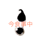 NekonoFU（個別スタンプ：2）