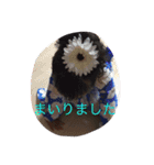 ぜん＆おなぎ（個別スタンプ：9）
