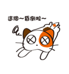 This...cat（個別スタンプ：25）