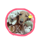 cookiestamp（個別スタンプ：9）