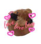 cookiestamp（個別スタンプ：14）