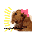 cookiestamp（個別スタンプ：18）
