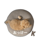 もものお言葉（個別スタンプ：5）