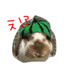 ぱぴこの毎日。（個別スタンプ：7）
