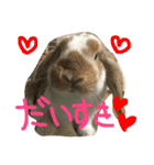 ぱぴこの毎日。（個別スタンプ：11）