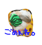 ぱぴこの毎日。（個別スタンプ：12）