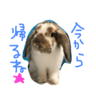 ぱぴこの毎日。（個別スタンプ：19）
