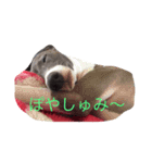 お豆さん's（個別スタンプ：2）