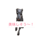 お豆さん's（個別スタンプ：5）