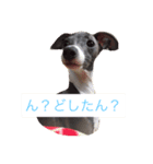 お豆さん's（個別スタンプ：8）