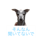 お豆さん's（個別スタンプ：9）