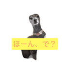 お豆さん's（個別スタンプ：11）