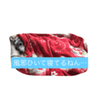 お豆さん's（個別スタンプ：13）