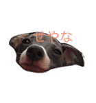 お豆さん's（個別スタンプ：14）