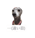 お豆さん's（個別スタンプ：15）