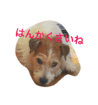 少しの方言のみるくるみ（個別スタンプ：1）