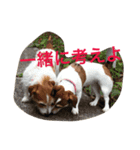 少しの方言のみるくるみ（個別スタンプ：7）
