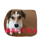 少しの方言のみるくるみ（個別スタンプ：11）