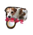 少しの方言のみるくるみ（個別スタンプ：12）