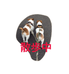 少しの方言のみるくるみ（個別スタンプ：13）