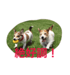少しの方言のみるくるみ（個別スタンプ：15）