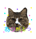 ぐりたんのつぶやき（個別スタンプ：2）