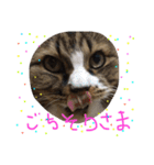 ぐりたんのつぶやき（個別スタンプ：4）