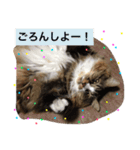 ぐりたんのつぶやき（個別スタンプ：10）
