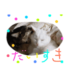 ぐりたんのつぶやき（個別スタンプ：16）