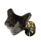 猫のくりちゃん（個別スタンプ：8）