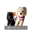 こもなめの日常（個別スタンプ：18）