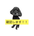 こもなめの日常（個別スタンプ：20）